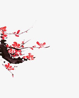 折断的梅花枝