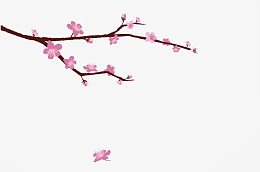 中国风梅花