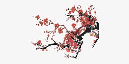 中国画梅花