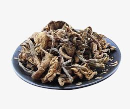 圆盘里的榛蘑图片素材