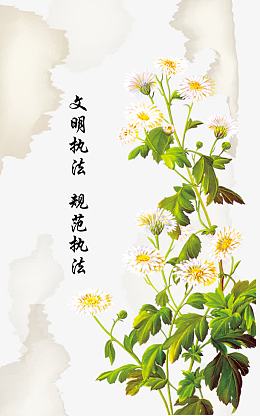 文明执法菊花素材背景