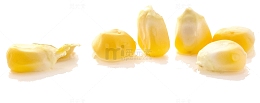 几颗玉米粒