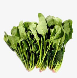 新鲜的菠菜