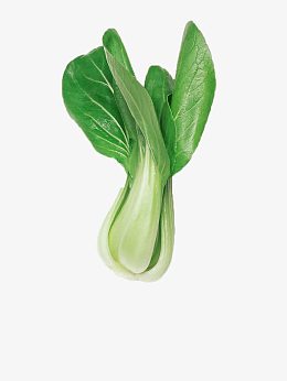 上海青蔬菜