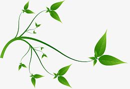 精美绿色环保主题标签矢量素材