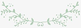 手绘图片仙境元素 植物花纹分界