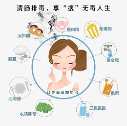 酵素 排毒 养颜  酵素海报 
