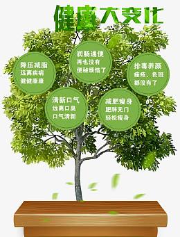 酵素 排毒 养颜  酵素海报 