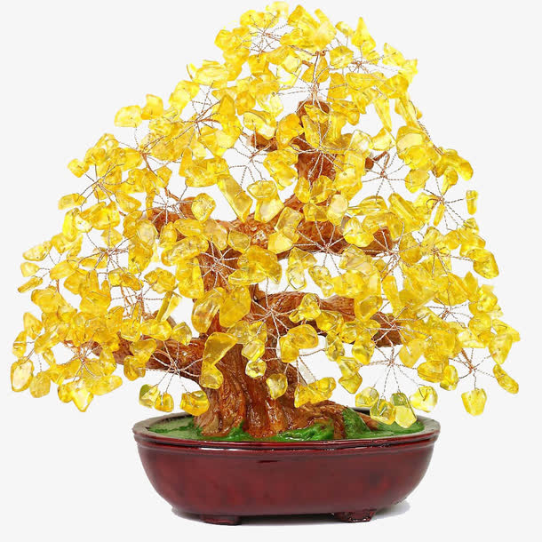 招财树盆景免费下载