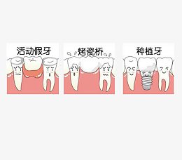 牙齿动画