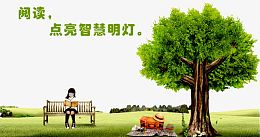 阅读书本