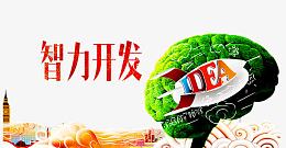 智力开发