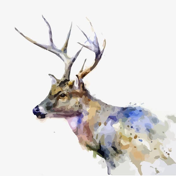 麋鹿水彩画