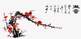 红色梅花