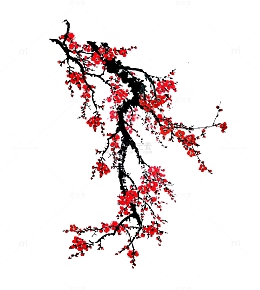 红色梅花素材