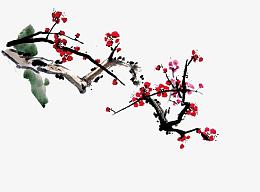 梅花