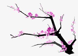 红色梅花