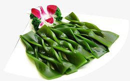 扇形碟的海带结图片素材