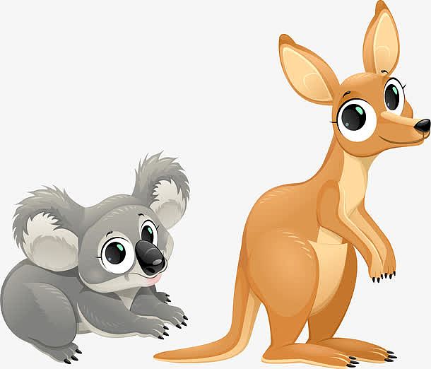 澳大利亚代表性动物