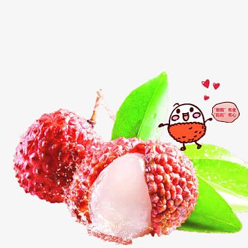 荔枝海报矢量元素