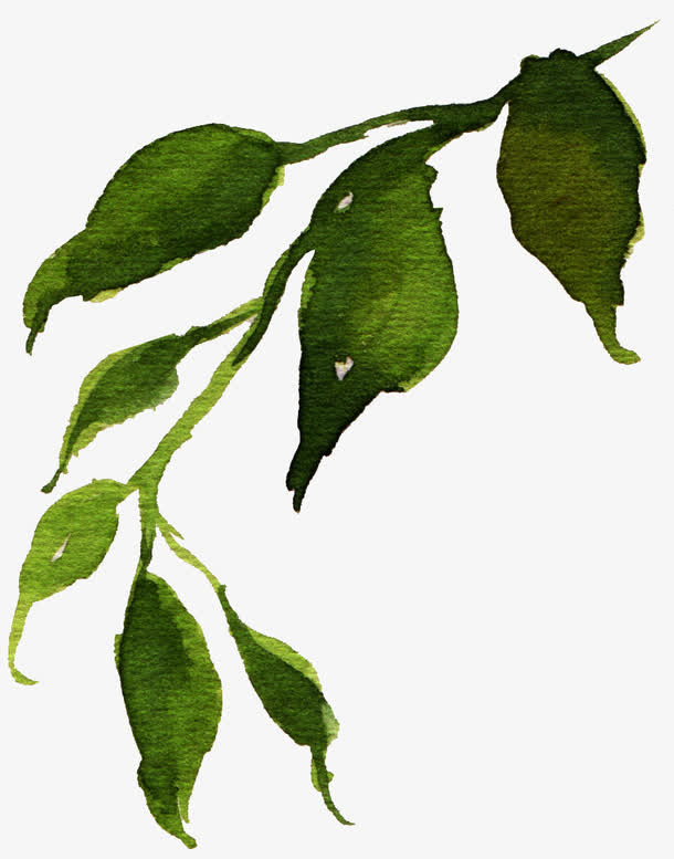 关键词 : 手绘,唯美,森系,水彩风格,叶子装饰[声明] 觅元素所有素材为