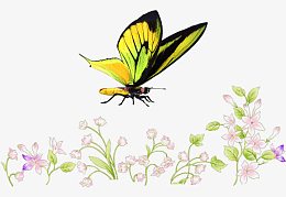 唯美手绘淡雅森系水彩花卉