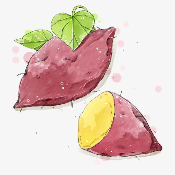 手绘红薯