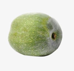 生态毛冬瓜