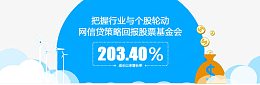 网信贷款策略