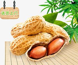 花生米花生壳