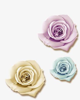 粉紫、粉黄、 粉蓝三色花