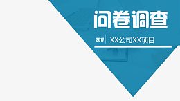 问卷调查报告