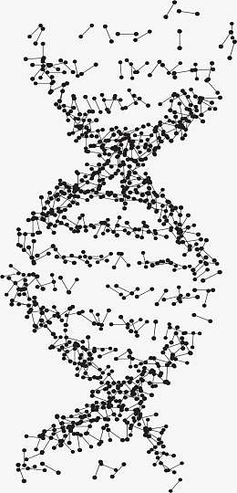 双螺旋分子结构