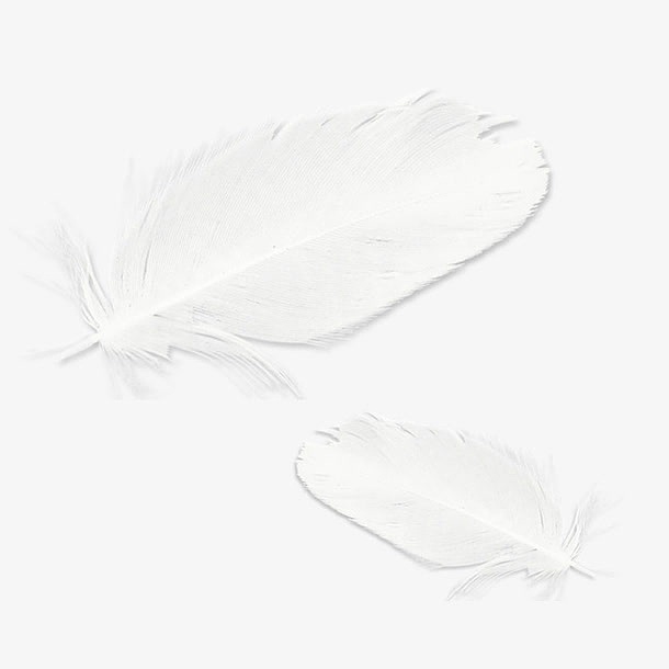 白色羽毛图案