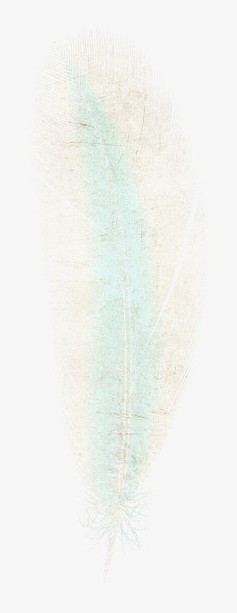 唯美可爱 白色唯美羽毛