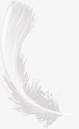 羽毛