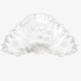 白色羽毛扇素材装饰