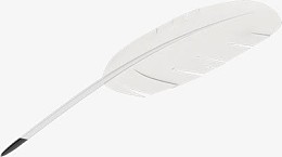 白色羽毛效果元素