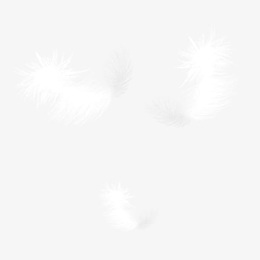 白色羽毛免抠素材