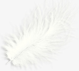 白色羽毛素材免抠