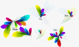 色彩鲜艳的羽毛矢量素材