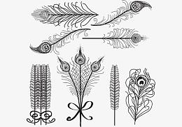 天堂白色和黑色的羽毛矢量鸟类