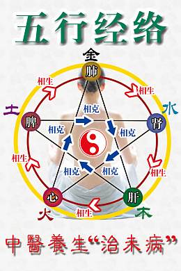五行经络