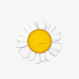 花朵 金黄色 太阳花  白色的花瓣