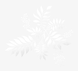 白色花纹