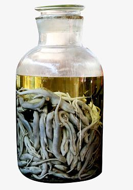 壁虎药酒