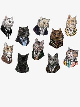 穿西服的小猫