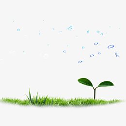 绿色现代植物装饰
