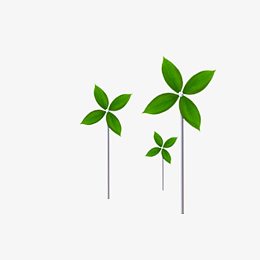 绿色现代植物装饰