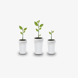 绿色现代植物装饰